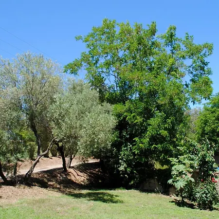 Belle Vue- Direkt Am Meer- 1-2 Haustiere Erlaubt By Interhome Tatil Evi *