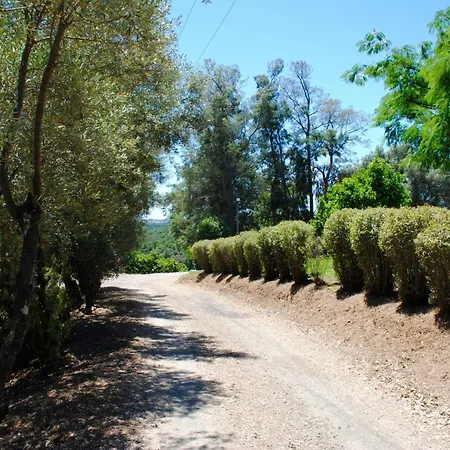 Tatil Evi Belle Vue- Direkt Am Meer- 1-2 Haustiere Erlaubt By Interhome *