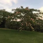 Casa vacanze Belle Vue- Direkt Am Meer- 1-2 Haustiere Erlaubt By Interhome *