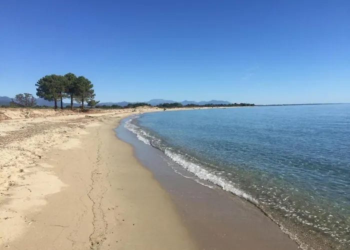 Belle Vue- Direkt Am Meer- 1-2 Haustiere Erlaubt By Interhome Hébergement de vacances Cervione