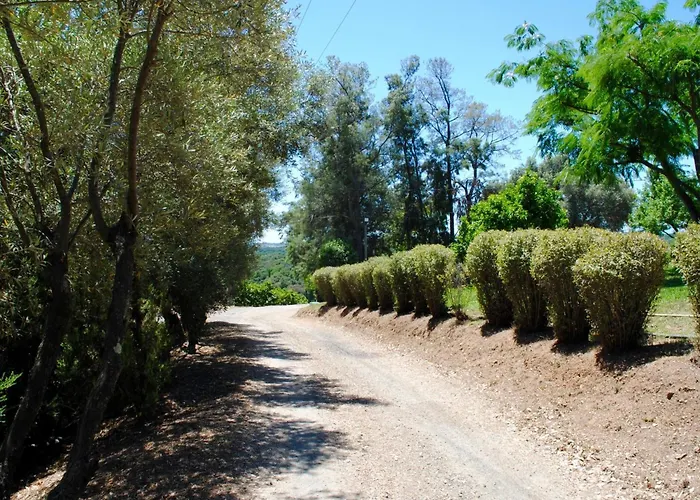 Hébergement de vacances Belle Vue- Direkt Am Meer- 1-2 Haustiere Erlaubt By Interhome *