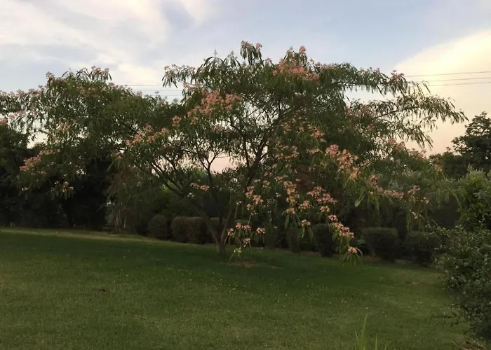 Vakantiehuis Belle Vue- Direkt Am Meer- 1-2 Haustiere Erlaubt By Interhome *