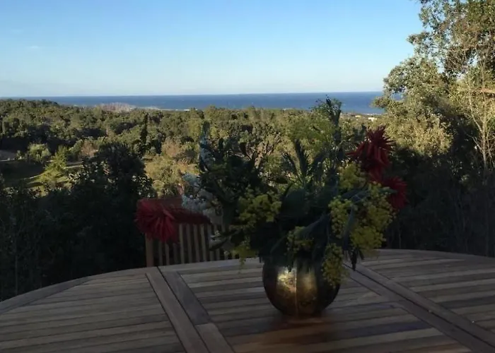 Belle Vue- Direkt Am Meer- 1-2 Haustiere Erlaubt By Interhome