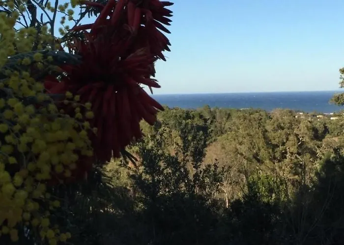 Belle Vue- Direkt Am Meer- 1-2 Haustiere Erlaubt By Interhome Vakantiehuis