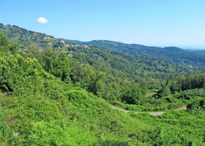 Belle Vue- Direkt Am Meer- 1-2 Haustiere Erlaubt By Interhome Vakantiehuis *