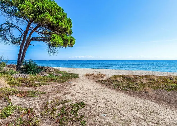 Belle Vue- Direkt Am Meer- 1-2 Haustiere Erlaubt By Interhome